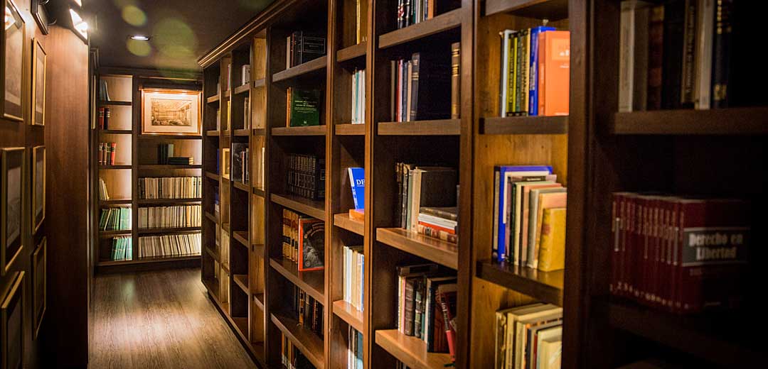 WALLON Lily Duclaud Interior Design